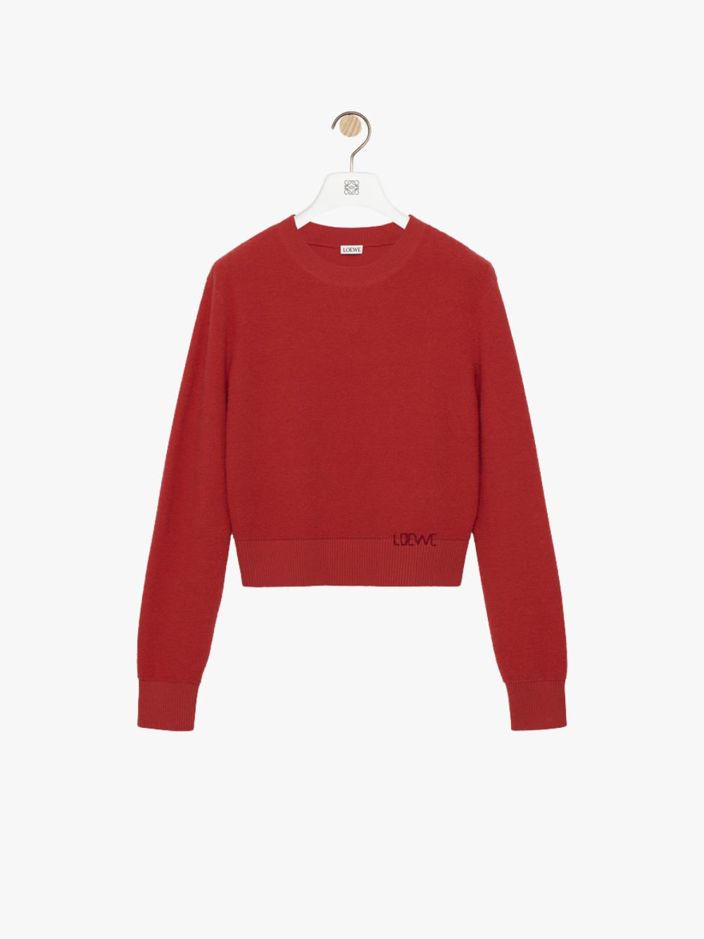 Loewe Sweater in Wool Red Women