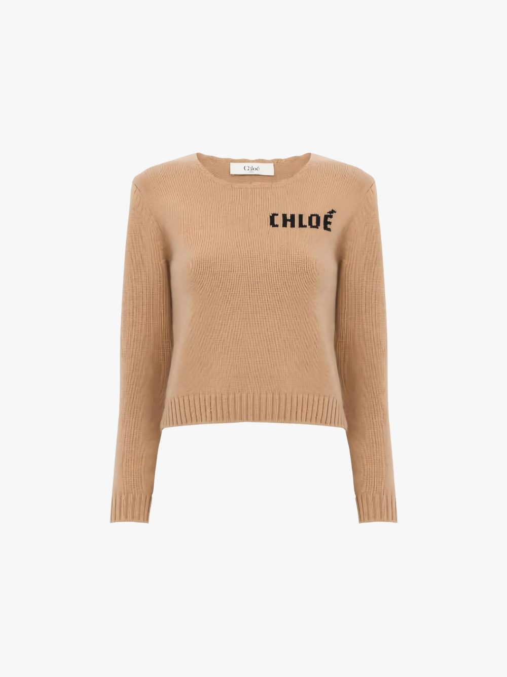 Chloé Sweater with Embroidered Logo Light Brown Women
