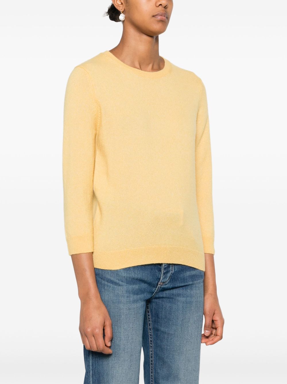 Iris von Arnim Pullover